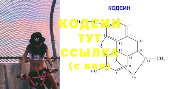 прущие грибы Красноперекопск