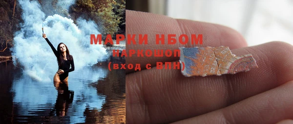 прущие грибы Красноперекопск
