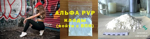 индика Краснотурьинск