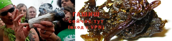 индика Краснотурьинск