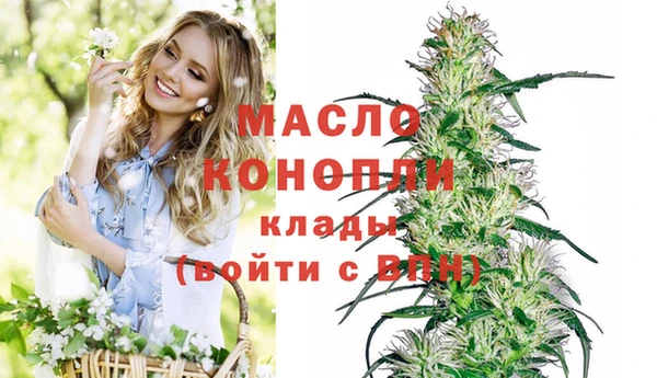 индика Краснотурьинск