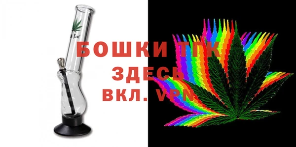 прущие грибы Красноперекопск