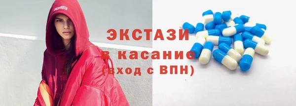 индика Краснотурьинск