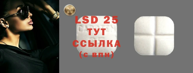 индика Краснотурьинск