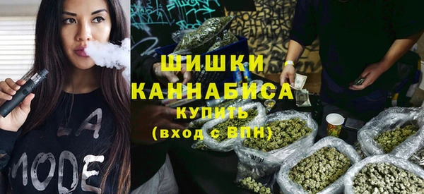 прущие грибы Красноперекопск