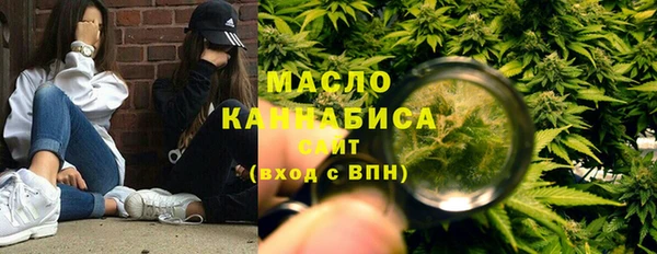 индика Краснотурьинск