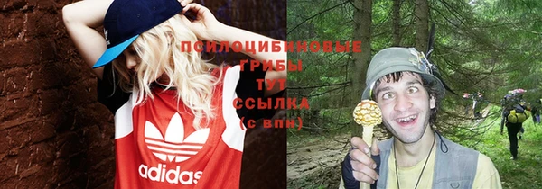 индика Краснотурьинск