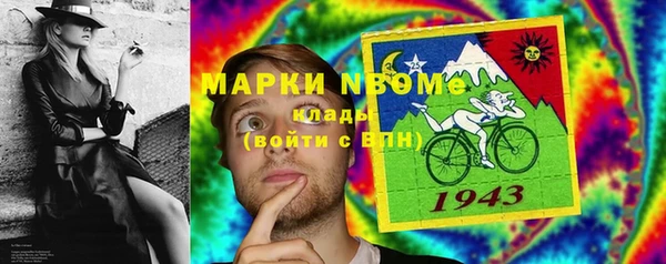 прущие грибы Красноперекопск