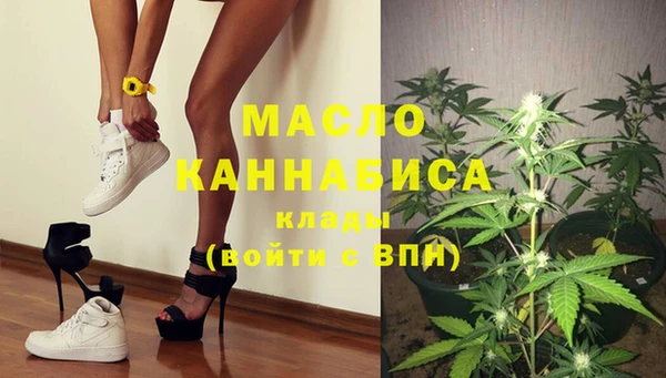 индика Краснотурьинск