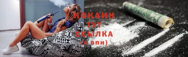 индика Краснотурьинск