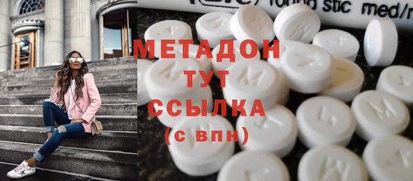 прущие грибы Красноперекопск