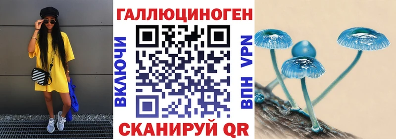 Псилоцибиновые грибы GOLDEN TEACHER  мориарти какой сайт  Ахтырский  купить наркотик 